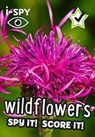 i-SPY Wildflowers: Spy it! Score it! (Collins Michelin i-SPY Guides), Condition