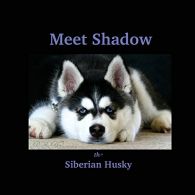 Meet Shadow the Siberian Husky: Meet Shadow: Volume 1, Macn