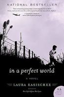 In a Perfect World: A Novel | Laura Kasischke | Book