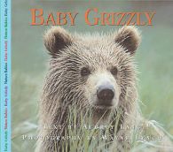 Baby Grizzly by Lang Lynch (Paperback)