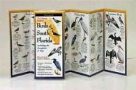 Simmons, Ernest : Birds of South Florida (Foldingguides)