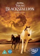 The Young Black Stallion DVD (2005) Richard Romanus, Wincer (DIR) cert U