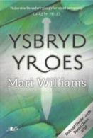 Ysbryd yr oes by Mari Williams (Paperback)