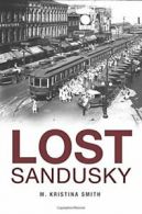 Lost Sandusky.by Smith New 9781626195868 Fast Free Shipping<|