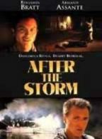 After the Storm [DVD] [2007] DVD