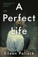 A Perfect Life.by Pollack New 9780062419187 Fast Free Shipping<|