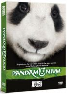 Pandamonium DVD (2009) cert E 4 discs