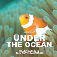 Under the Ocean Calendar 2017: 16 Month Calendar by David Mann (Paperback)