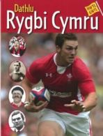 Hwyl gwyl: Dathlu rygbi Cymru by Elin Meek (Paperback)