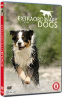 Extraordinary Dogs DVD (2011) cert E 2 discs