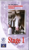 The BHS Official Examination Series: Stage 1 DVD cert E