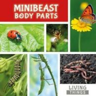 Living things: Minibeast body parts by Steffi Cavell-Clarke (Hardback)