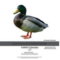 Ducks Calendar 2017: 16 Month Calendar by David Mann  (Paperback)