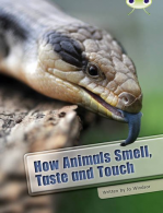 How Animals Smell, Taste and Touch (BUG CLUB), Windsor, Jo, ISBN
