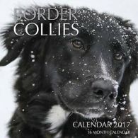 Mann, David : Border Collies Calendar 2017: 16 Month C
