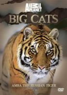 Discovery Channel: Big Cats - Amba the Russian Tiger DVD (2010) Gordon Buchanan