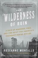 The Wilderness of Ruin: A Tale of Madness, Fire. Montillo 0<|