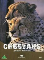Safari: Cheetahs DVD (2005) cert E