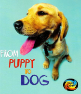 From Puppy to Dog (Young Explorer: How Living Things Grow), Anita Ganeri,