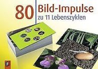 80 Bild-Impulse zu 11 Lebenszyklen | Creative Teaching... | Book