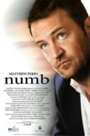 Numb DVD (2008) Matthew Perry, Goldberg (DIR) cert 15