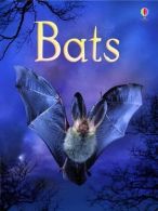 Bats (Usborne Beginners), Megan Cullis, ISBN 9780746099650