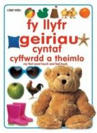 Fy llyfr geiriau cyntaf cyffwrdd a theimlo: My first word touch and feel book