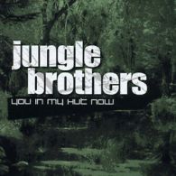 Jungle Brothers : You in My Hut Now CD (2002)