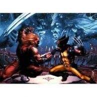 Wolverine: Evolution by Jeph Loeb (Hardback)