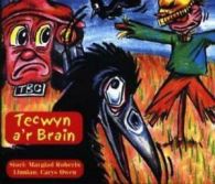 Cyfres Tecwyn y Tractor: Tecwyn a'r brain by Margiad Roberts (Paperback)