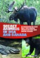 Wildlife: Secret Animals of the USA and Canada DVD (2006) cert E