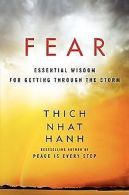 Fear: Essential Wisdom for Getting Through the Storm |... | Book