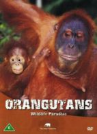Safari: Orangutans DVD (2005) cert E