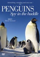 Penguins: Spy in the Huddle DVD (2013) David Tennant cert E