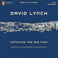 Catching the Big Fish: Meditation, Consciousness, and Creativity CD