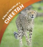 A+ books: A day in the life of a cheetah by Lisa J Amstutz (Hardback)