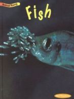 Animal young: Fish by Rod Theodorou (Hardback)