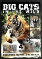 Big Cats in the Wild DVD (2005) cert E