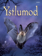 Ystlumod (Cyfres Dechrau Da), Megan Cullis, ISBN 1848516886