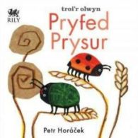 Troi'r olwyn: Pryfed prysur by Petr Horcek (Hardback)