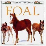 Foal (See How They Grow) | Book