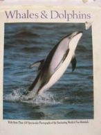 Whales and Dolphins By Victor Cox,Vic Cox. 9780941267069