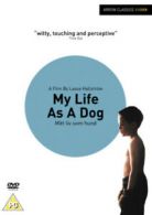 My Life As a Dog DVD (2005) Anton Glanzelius, Hallström (DIR) cert PG