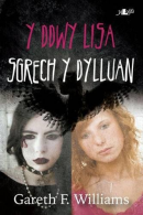 Cyfres y Dderwen: Y Ddwy Lisa - Sgrech y Dylluan, Gareth F.