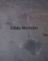 Cildo Meireles Value Guaranteed from eBayâ€™s biggest seller!