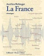 La France: Chroniques | Bellanger,Aurelien | Book