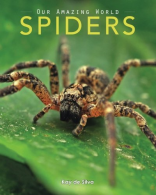 Spiders: Amazing Pictures & Fun Facts on Animals in Nature (Our Amazing World Se