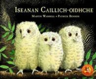 Iseanan caillich-oidhche by Martin Waddell (Paperback)