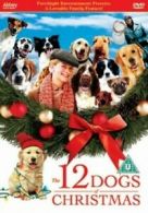 The 12 Dogs of Christmas DVD (2005) John Billingsley, Merrill (DIR) cert U