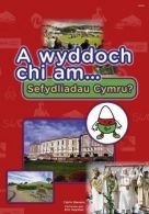 Cyfres a Wyddoch Chi: A Wyddoch Chi am Sefydliadau Cymru?, Catrin Stevens,